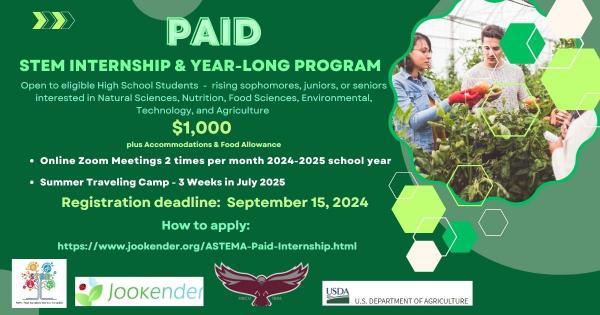 STEM Internship & Year-Long Program